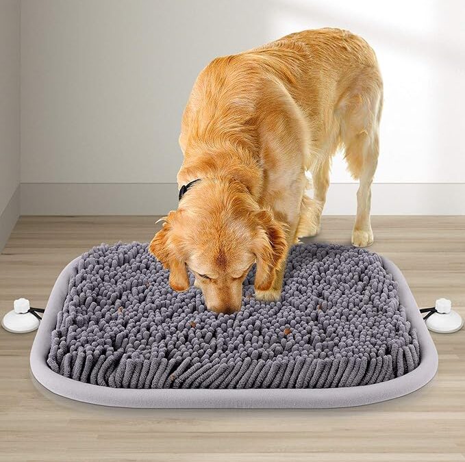 Top 10 Pet Enrichment Ideas for Anxious Pets at Home