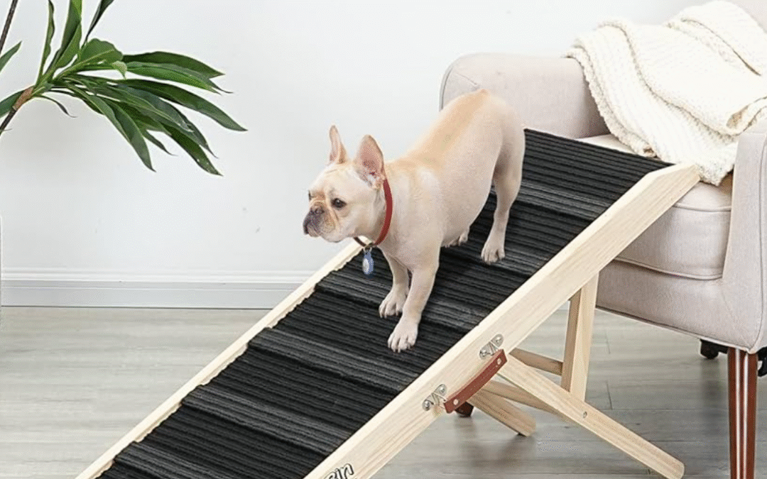 Pet exercise gadget DoggoRamp for senior dogs at home to support safe indoor mobility and joint health